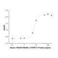 Recombinant Mouse TRANCE/RANKL/TNFSF11 Protein