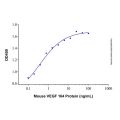 Recombinant Mouse VEGF 164 Protein