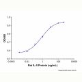 Recombinant Rat IL-5 Protein