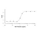 Recombinant Rat Prolactin Protein