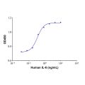 Recombinant Human IL-6 Protein
