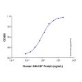Recombinant Human GM-CSF Protein