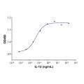 Recombinant Human IL-12 Protein