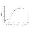 Recombinant Human IL-1 alpha/IL-1F1 Protein