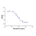 Recombinant Human IFN-gamma Protein