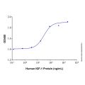 Recombinant Human IGF-I/IGF-1 Protein