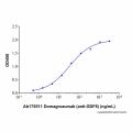 Recombinant Human GDF8 / Myostatin Protein