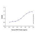 Recombinant Human Erythropoietin/EPO Protein