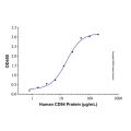Recombinant Human NKG2C/CD159c Protein