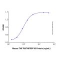 Recombinant Mouse TNF RII/TNFRSF1B Protein