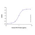 Recombinant Human SIRP beta 1/CD172b Protein