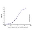 Recombinant Human LILRA2/CD85h/ILT1 Protein