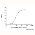 Recombinant Human GFR alpha-like Protein