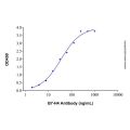Recombinant Human B7-H4 Protein