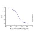 Recombinant Mouse TGF-beta 1 Protein