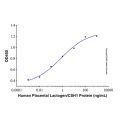 Recombinant Human Placental Lactogen/CSH1 Protein