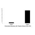Recombinant Mouse CXCL1/KC Protein