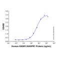 Recombinant Human ASGR1/ASGPR1 Protein