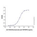 Recombinant Human CD30/TNFRSF8 Protein