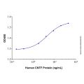 Recombinant Human CNTFR alpha Protein