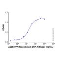 Recombinant Human C-Reactive Protein/CRP Protein