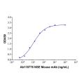 Recombinant Human NSE Protein