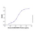 Recombinant Human ErbB2/HER2 Protein