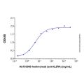 Recombinant Human CD25/IL-2R alpha Protein