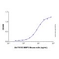 Recombinant Human MMP-3 Protein
