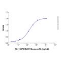 Recombinant Human MUC-1 Protein