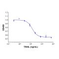 Recombinant Human TRAIL Protein