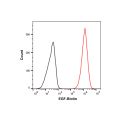 Recombinant Human EGF Protein (Biotin)