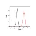 Recombinant Human EGF Protein (FITC)
