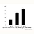 Recombinant Human CXCL9/MIG Protein