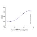 Recombinant Human CNTF Protein