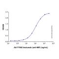 Recombinant Human MIF Protein