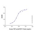Recombinant Human FGF acidic/FGF1 Protein