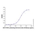 Recombinant Human LH alpha/beta Heterodimer Protein