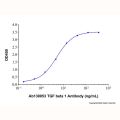 Recombinant Human TGF-beta 1 Monomer Protein