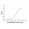 Recombinant Human MMP-1 Protein