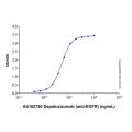 Recombinant Human EGFR Protein