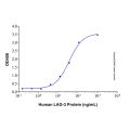 Recombinant Human LAG-3 Protein