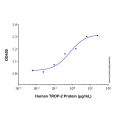 Recombinant Human TROP-2 Protein