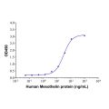 Recombinant Human Mesothelin Protein