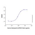 Recombinant Human Osteopontin (OPN) Protein