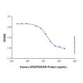 Recombinant Human VEGFR2/KDR Protein