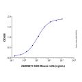 Recombinant Human CD5 Protein