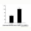 Recombinant Human CCL23/MPIF-1 Protein
