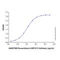 Recombinant Human Aldo-keto Reductase 1C3/AKR1C3 Protein