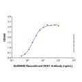 Recombinant Human Dkk-1 Protein